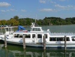 Vorleztes Schiff für diesmal